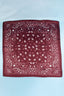 Bandana Paisley Print Satin Square Scarf (Red)