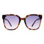 Aire Elementa Sunglasses (Amber Tort)