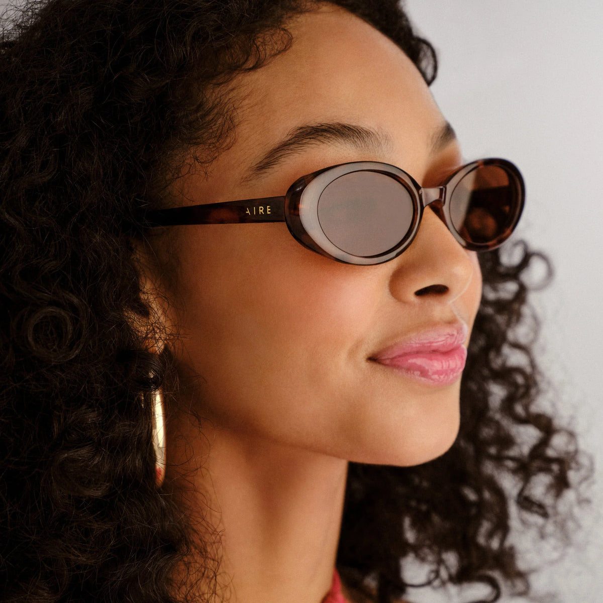 Aire Fornax Sunglasses (Dark Tort)