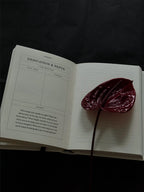 The Becoming Journal A Guided Journal