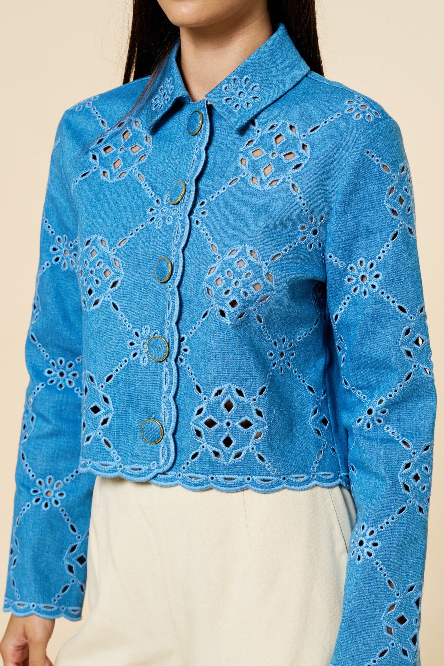 Mariposa Embroidered Jacket Secondary image