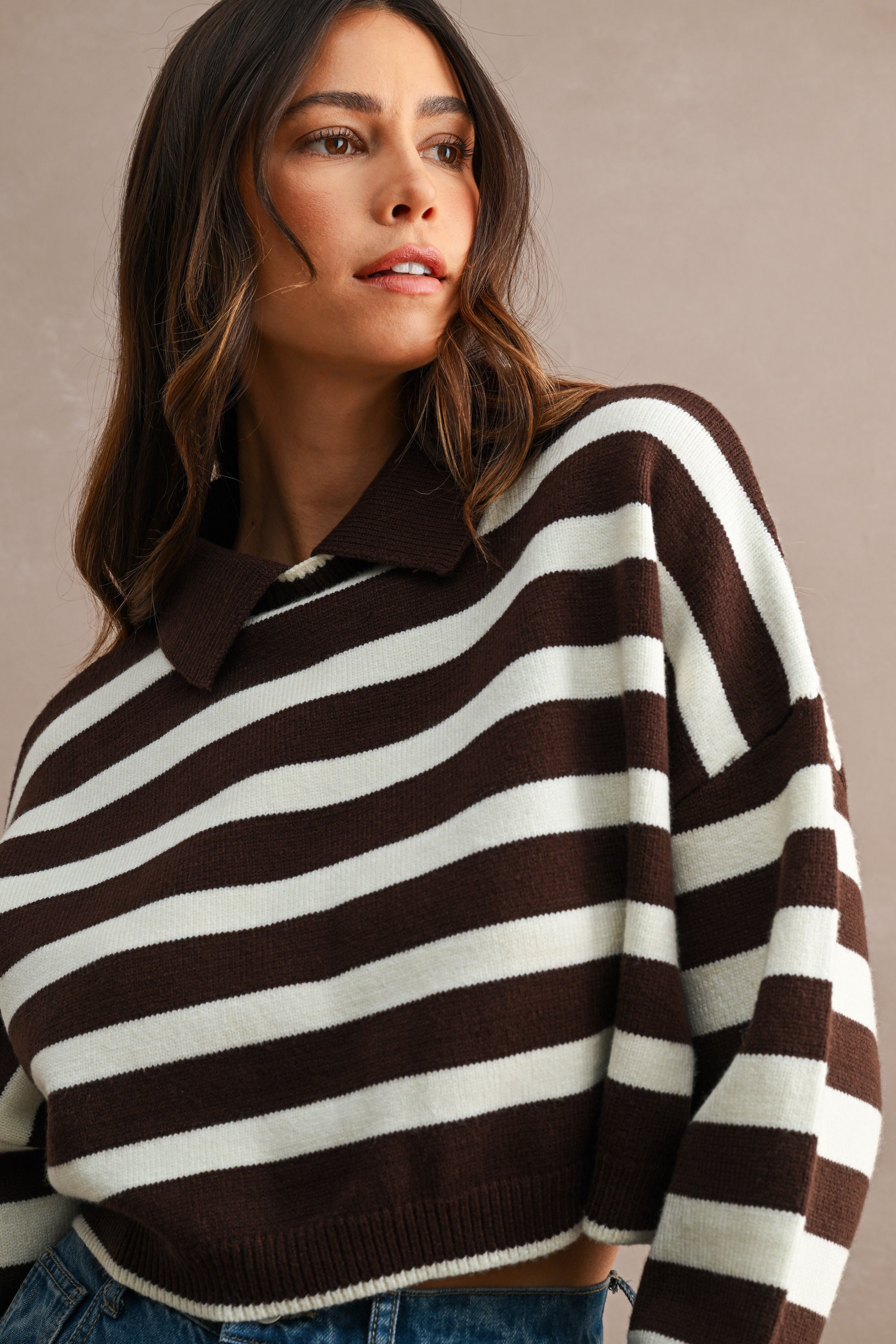 Striped Polo Cropped Sweater (Chocolate Brown/Cream) Secondary image
