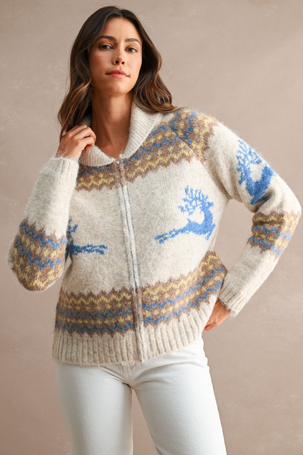 Nordic Pattern Zip Up Cardigan Sweater