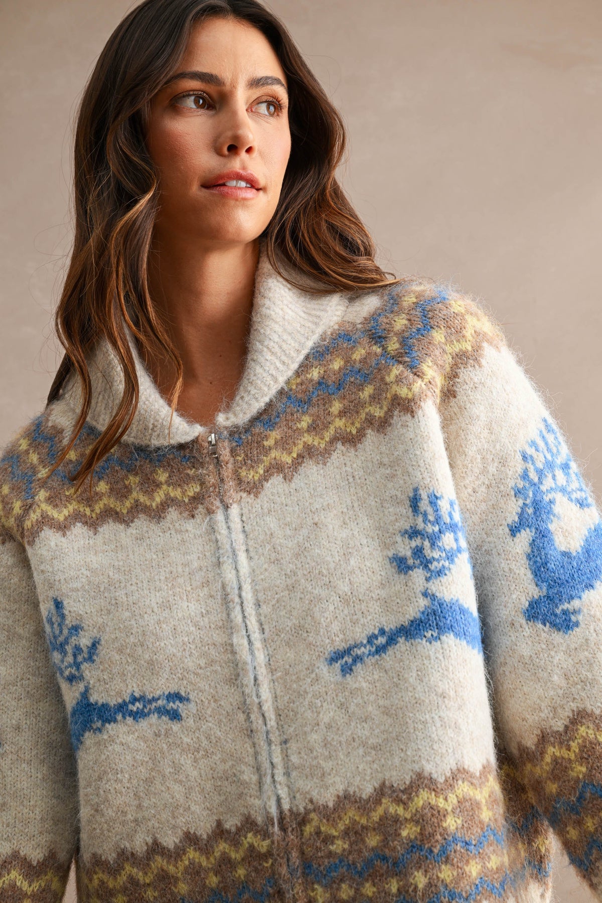 Nordic Pattern Zip Up Cardigan Sweater
