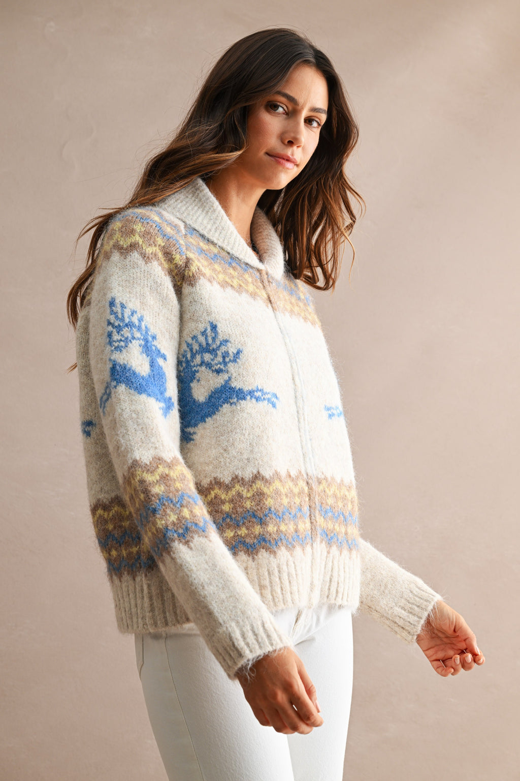 Nordic Pattern Zip Up Cardigan Sweater