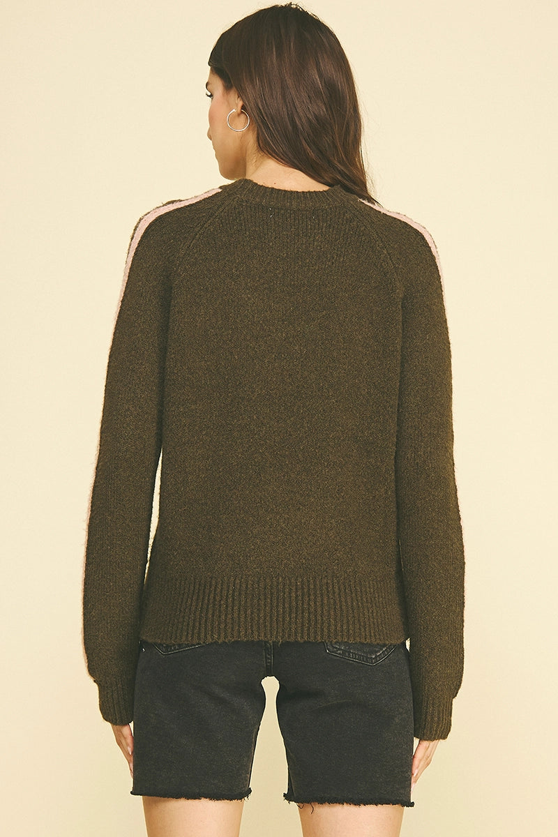 Striped Sleeve Knit Sweater (Brown/Pink)