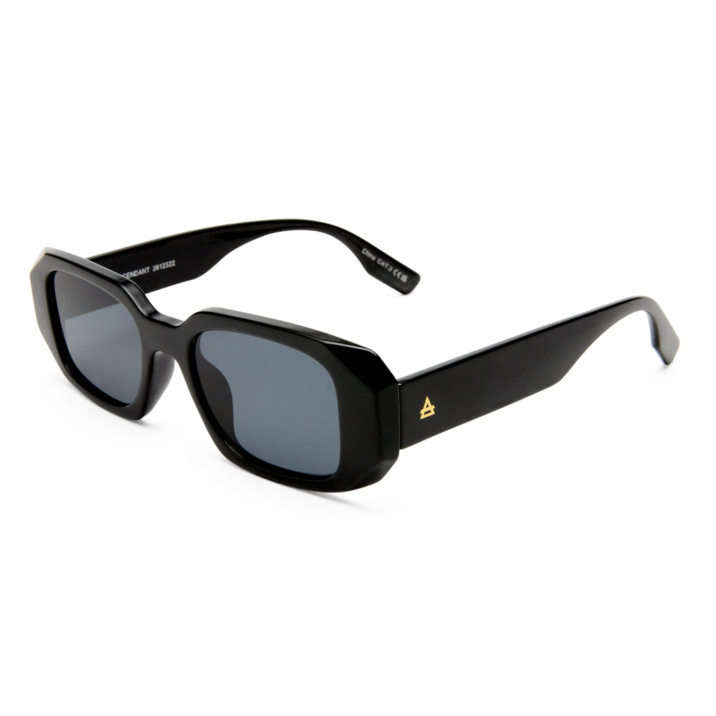Aire Ascendant Sunglasses (Black/Smoke Mono)
