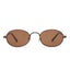 Aire Regulus Sunglasses (Chocolate)