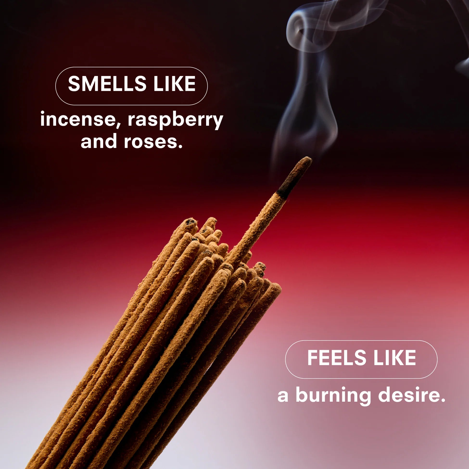 Boy Smells Red Hot Perfume